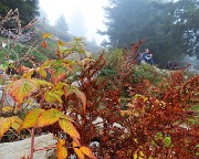 16 Caldi colori autunnali